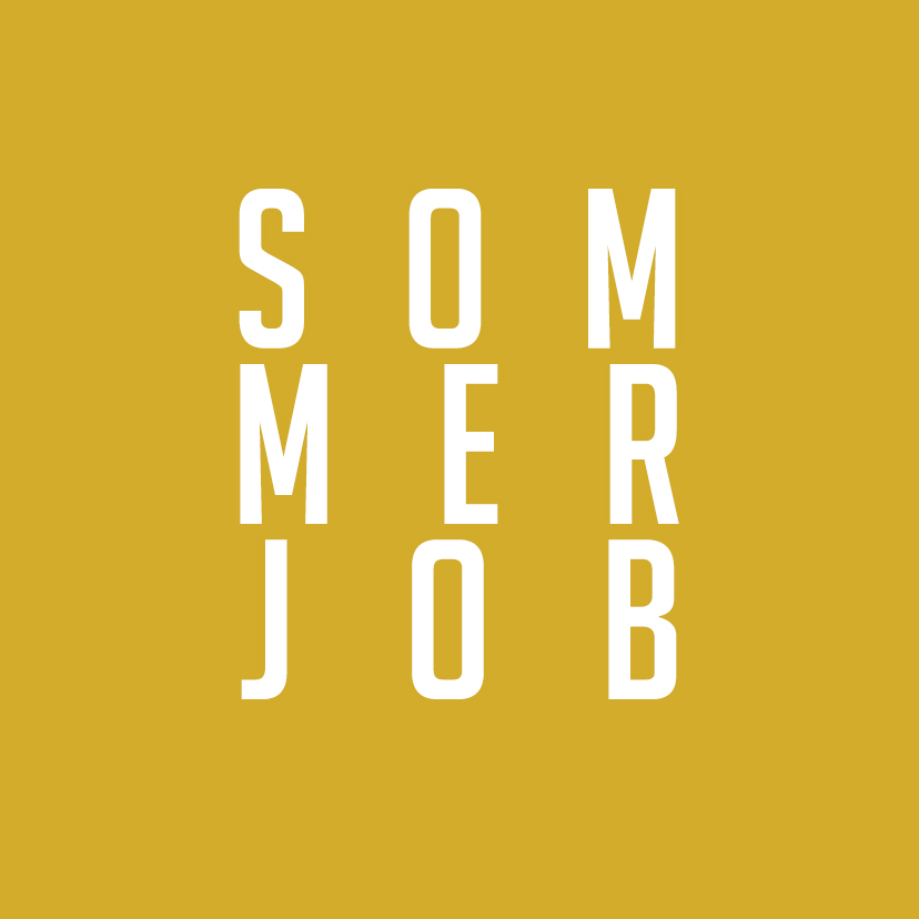 You are currently viewing Dein Sommerjob